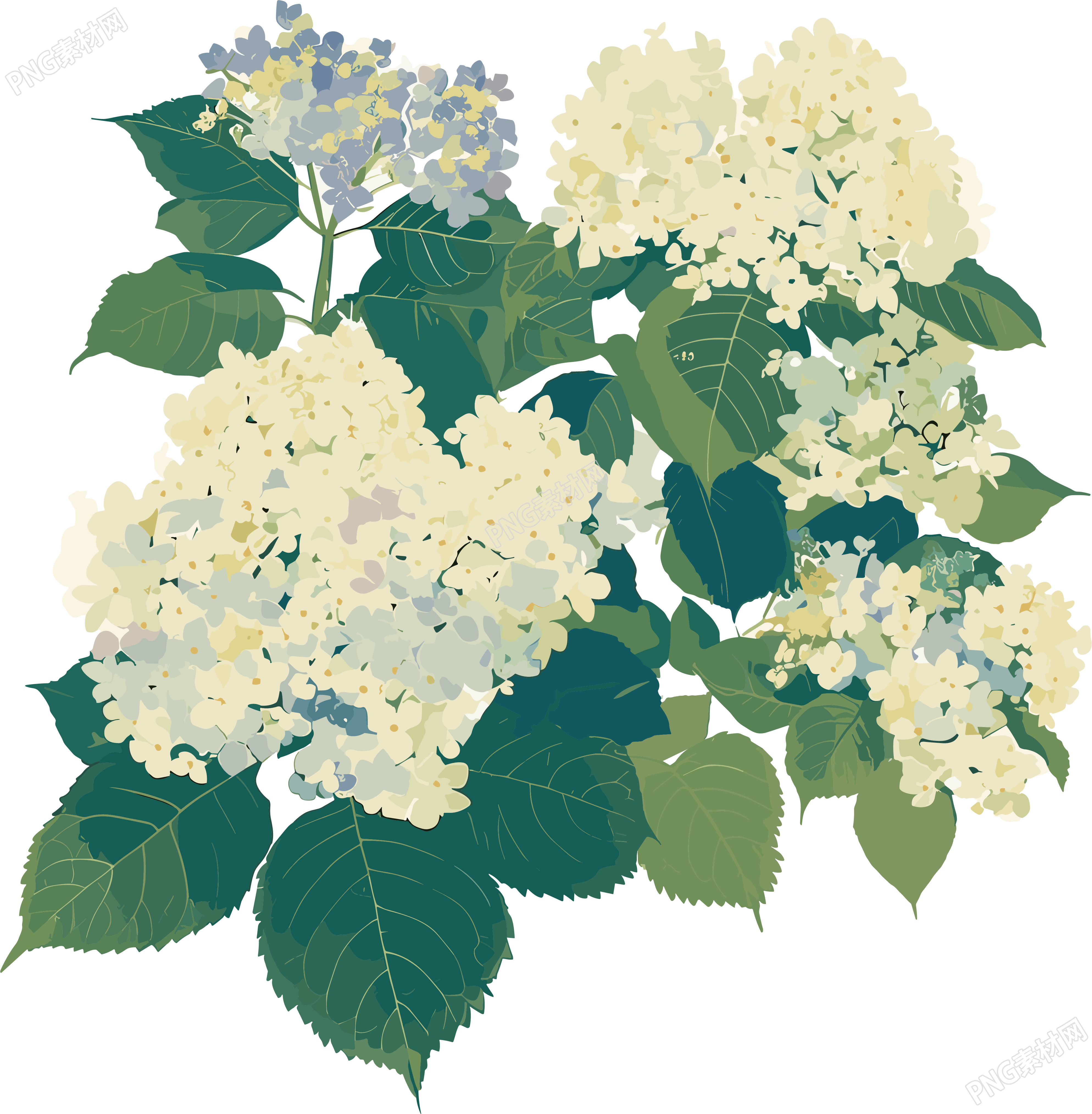 简约花卉平面插画