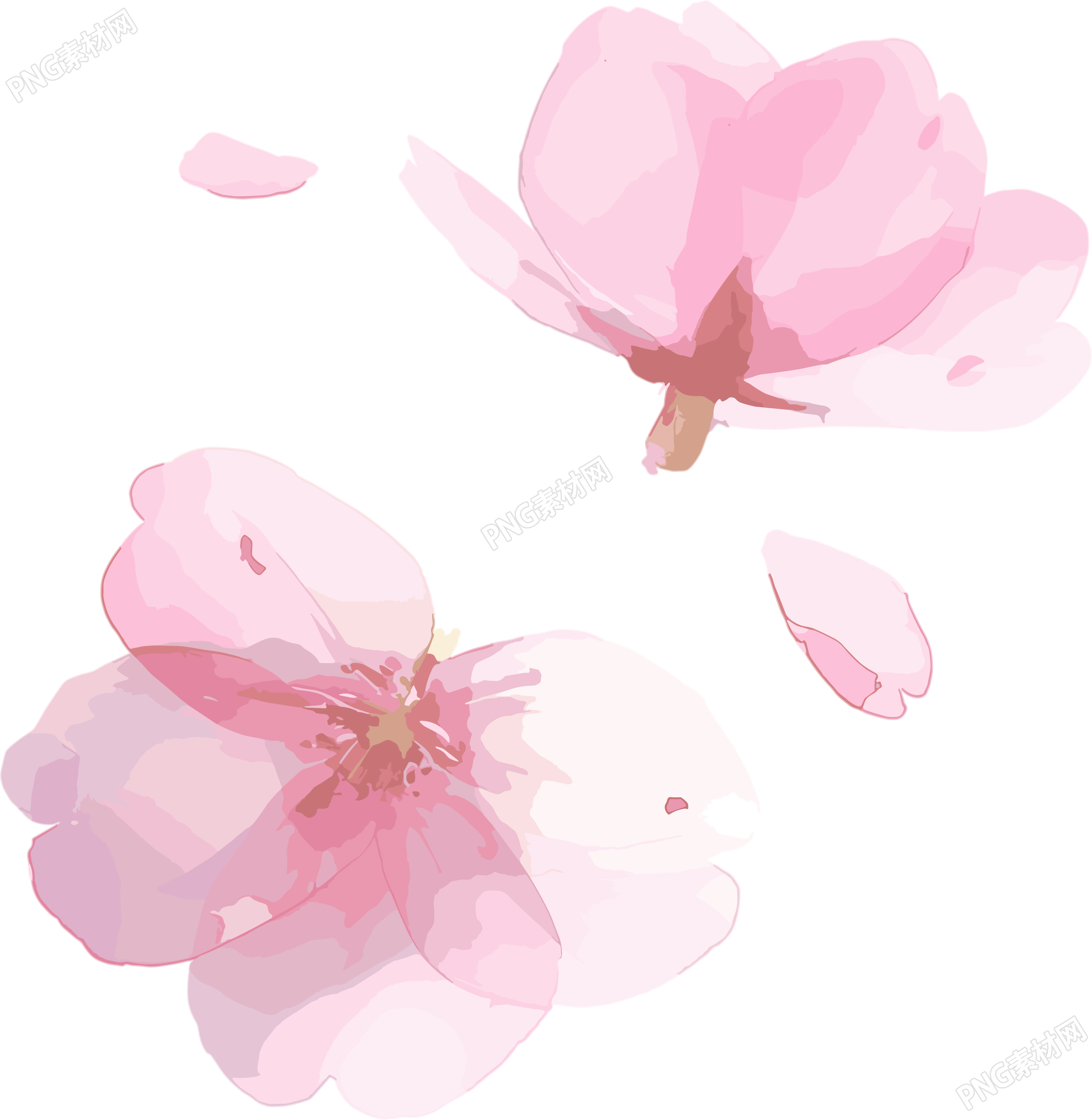 樱花花瓣创意商用插画