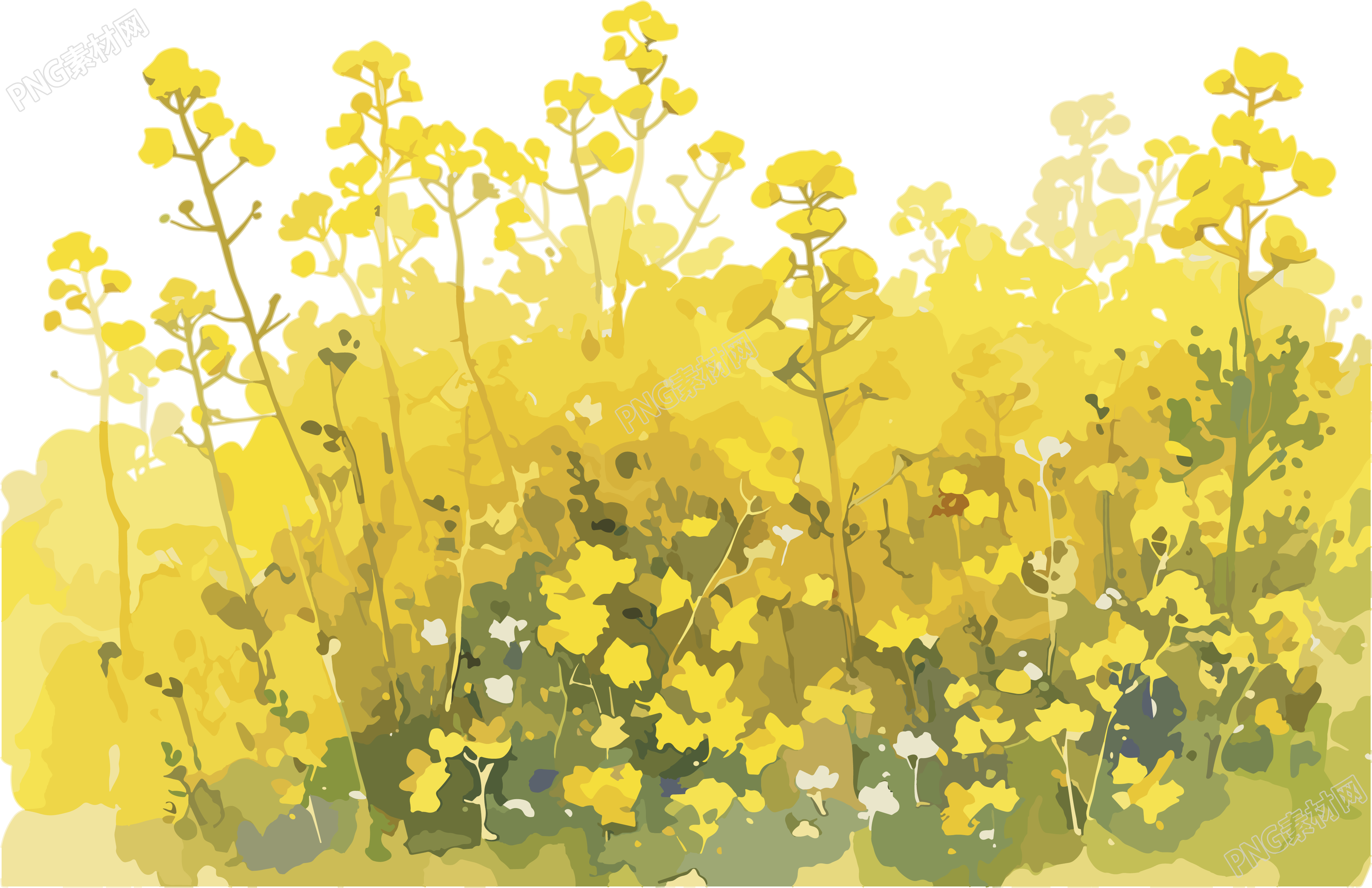 油菜花田简洁设计元素