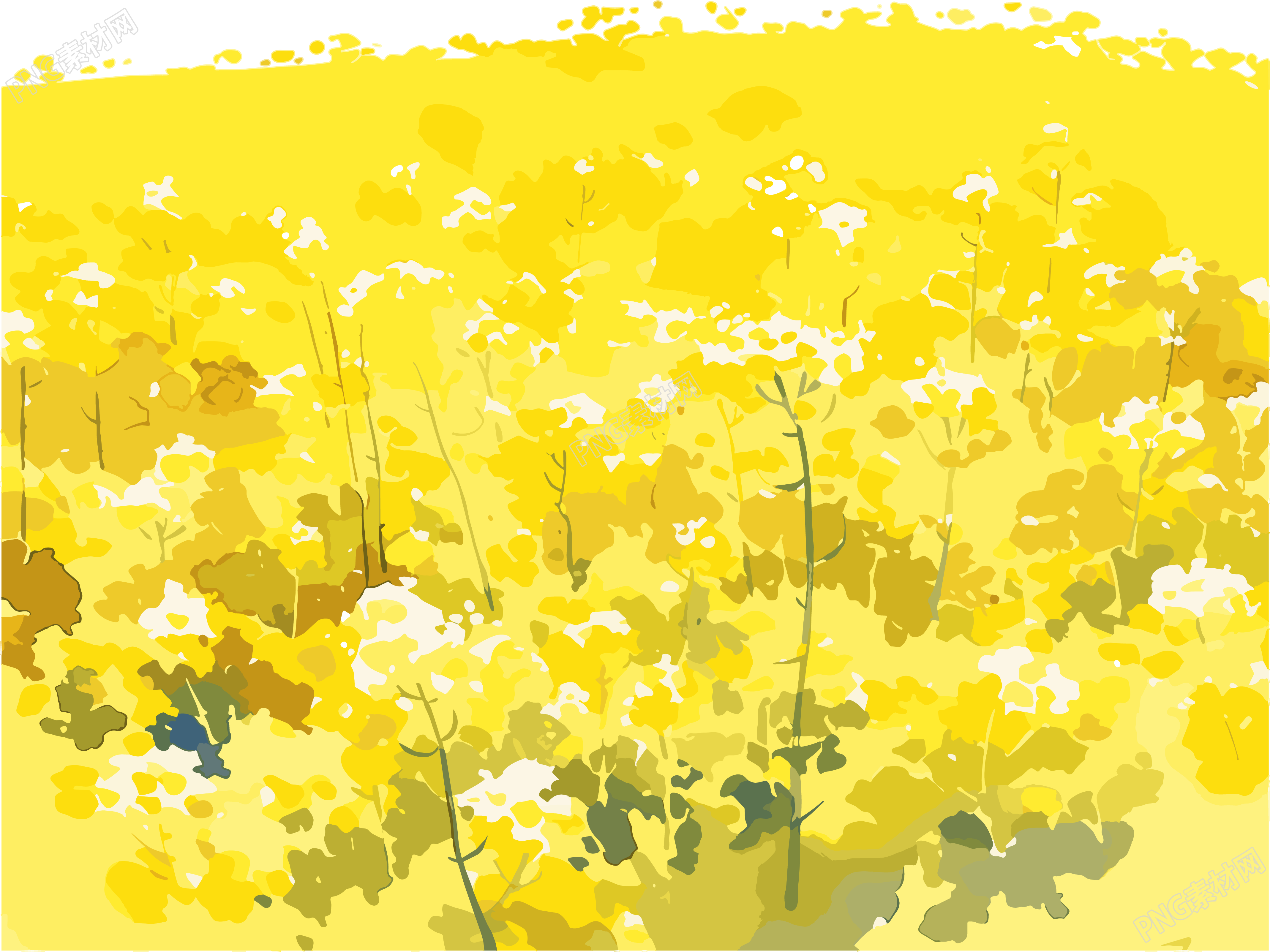 油菜花田PNG插图