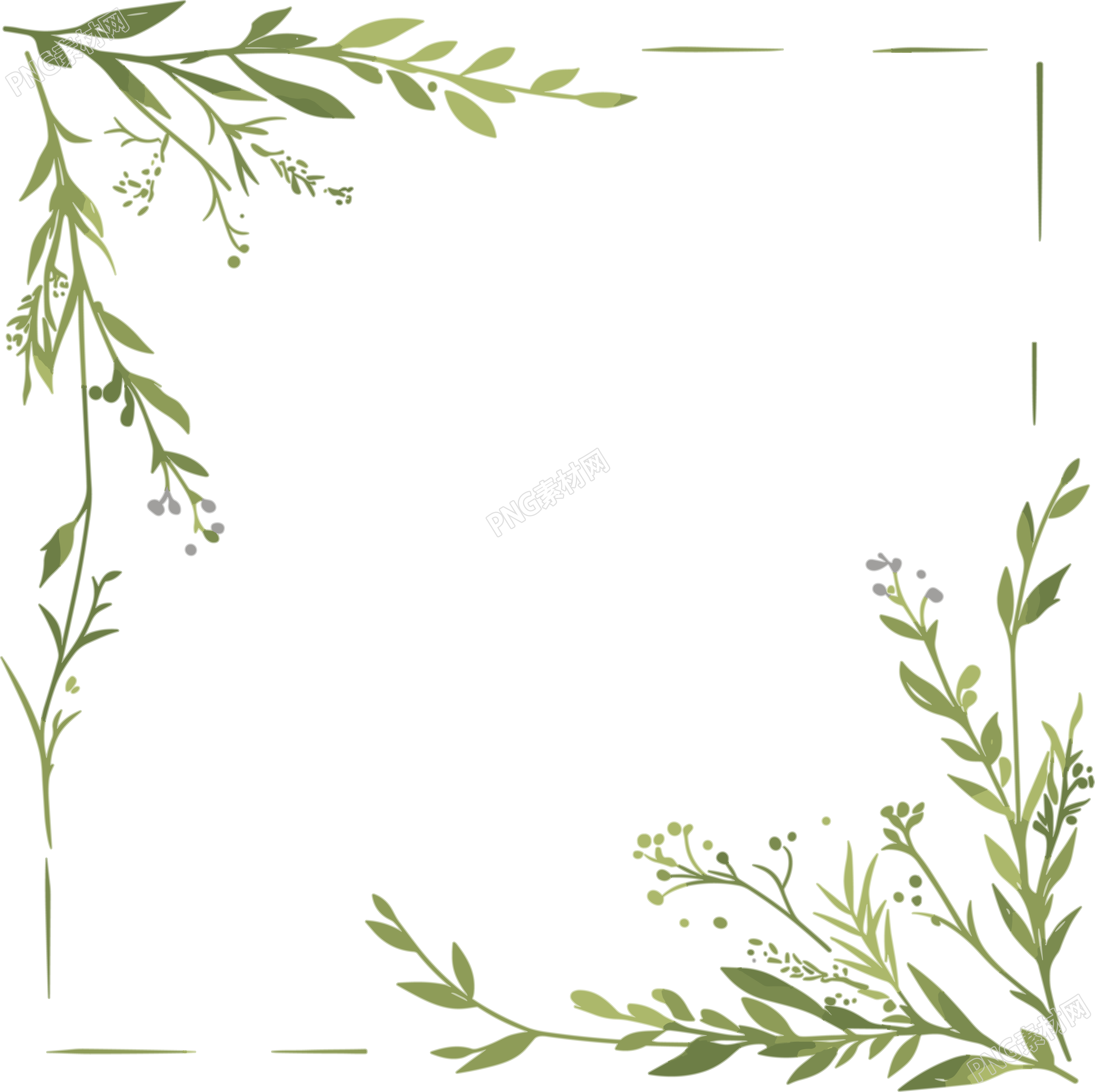 鲜花边框简约插图