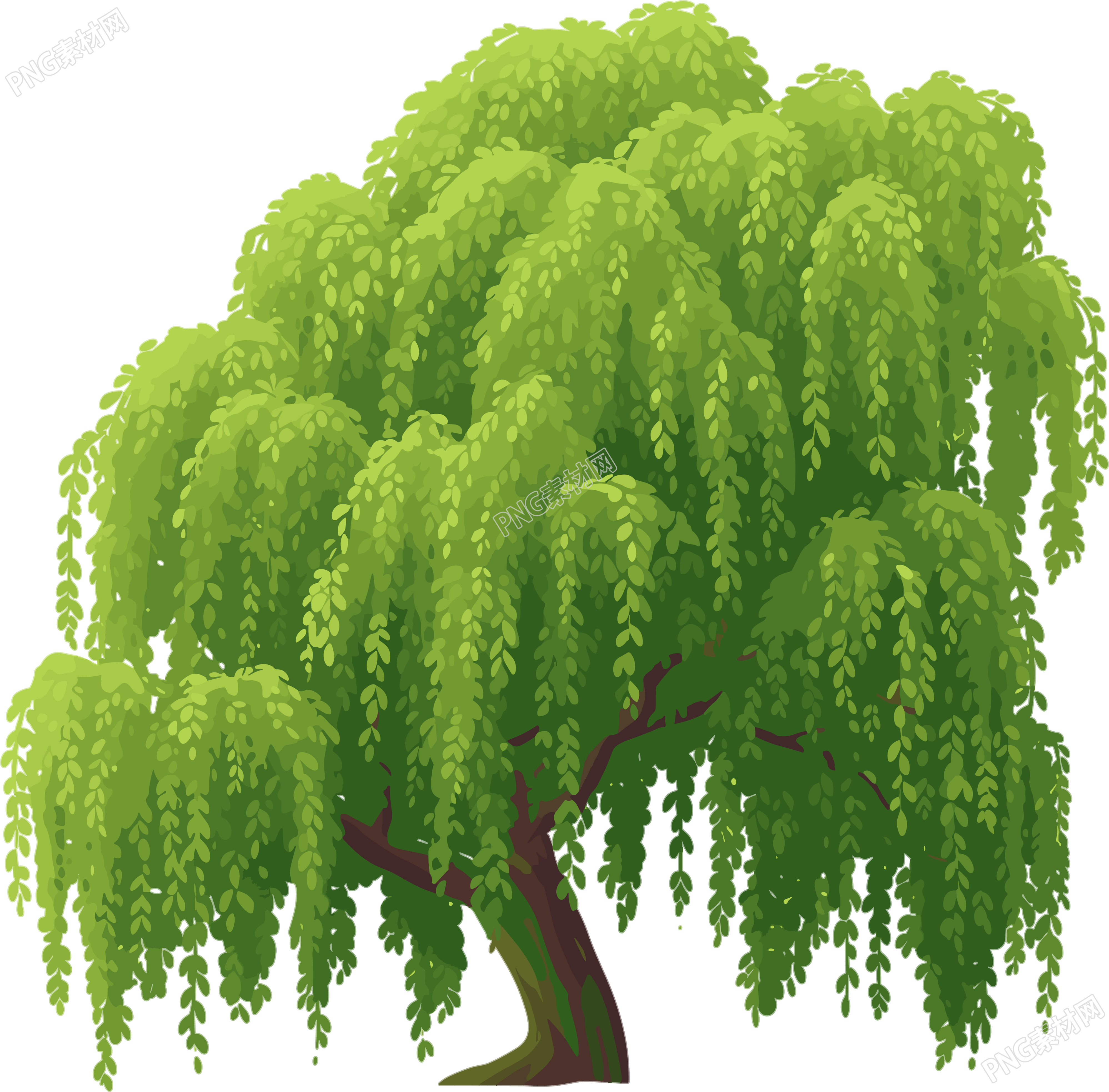 春天柳树PNG插画