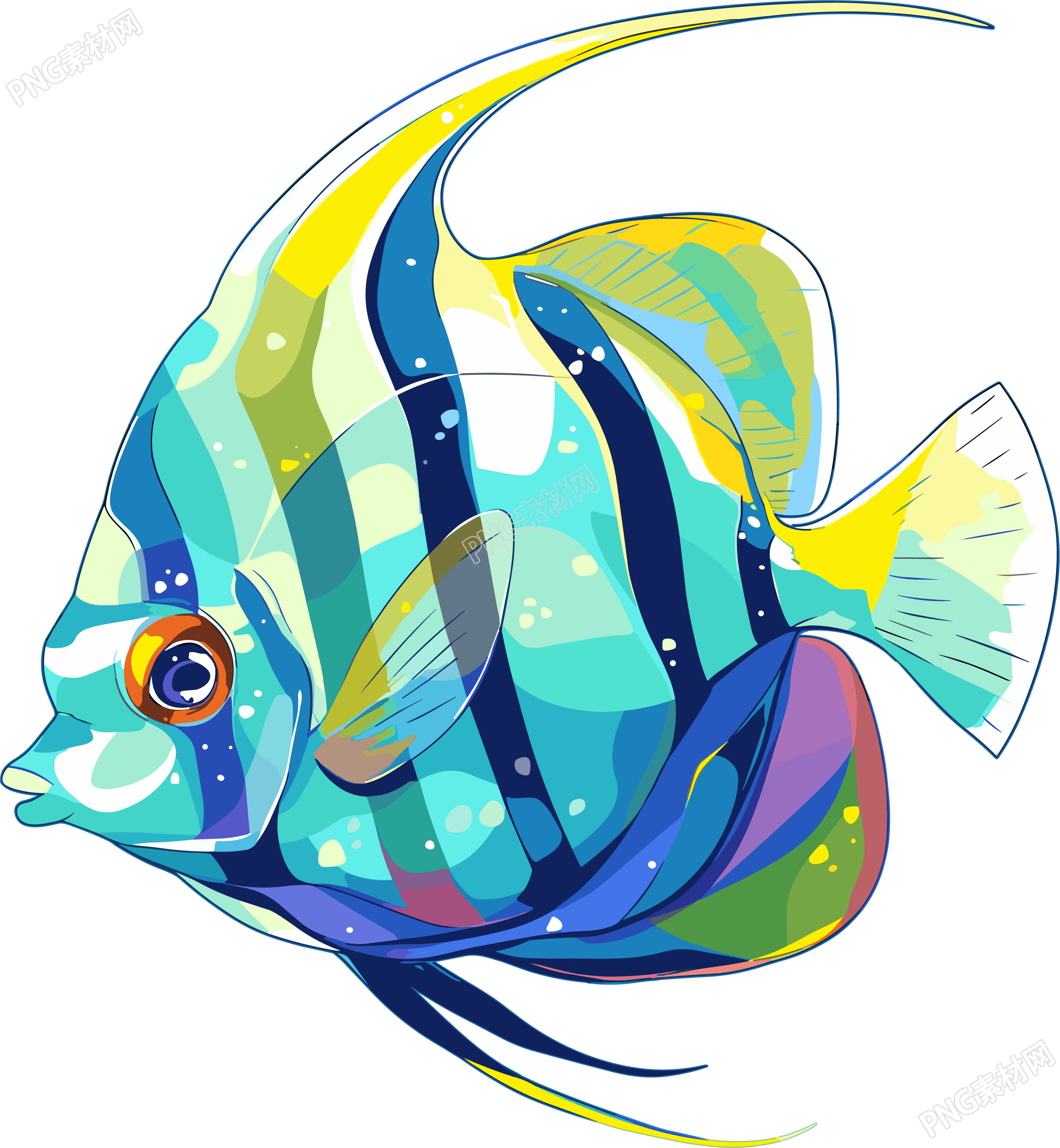 海洋鱼类简洁插画