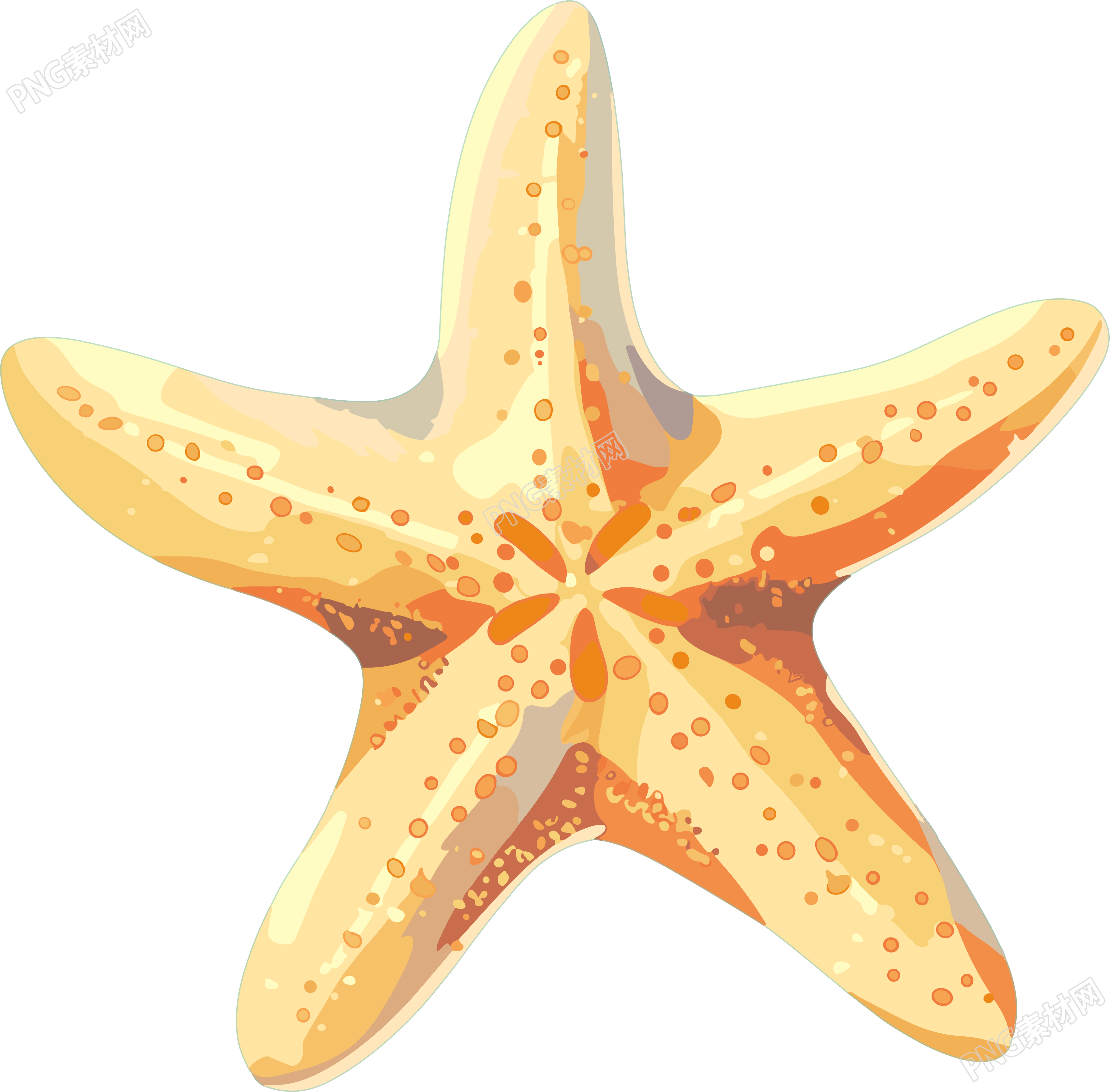 海洋海星素材