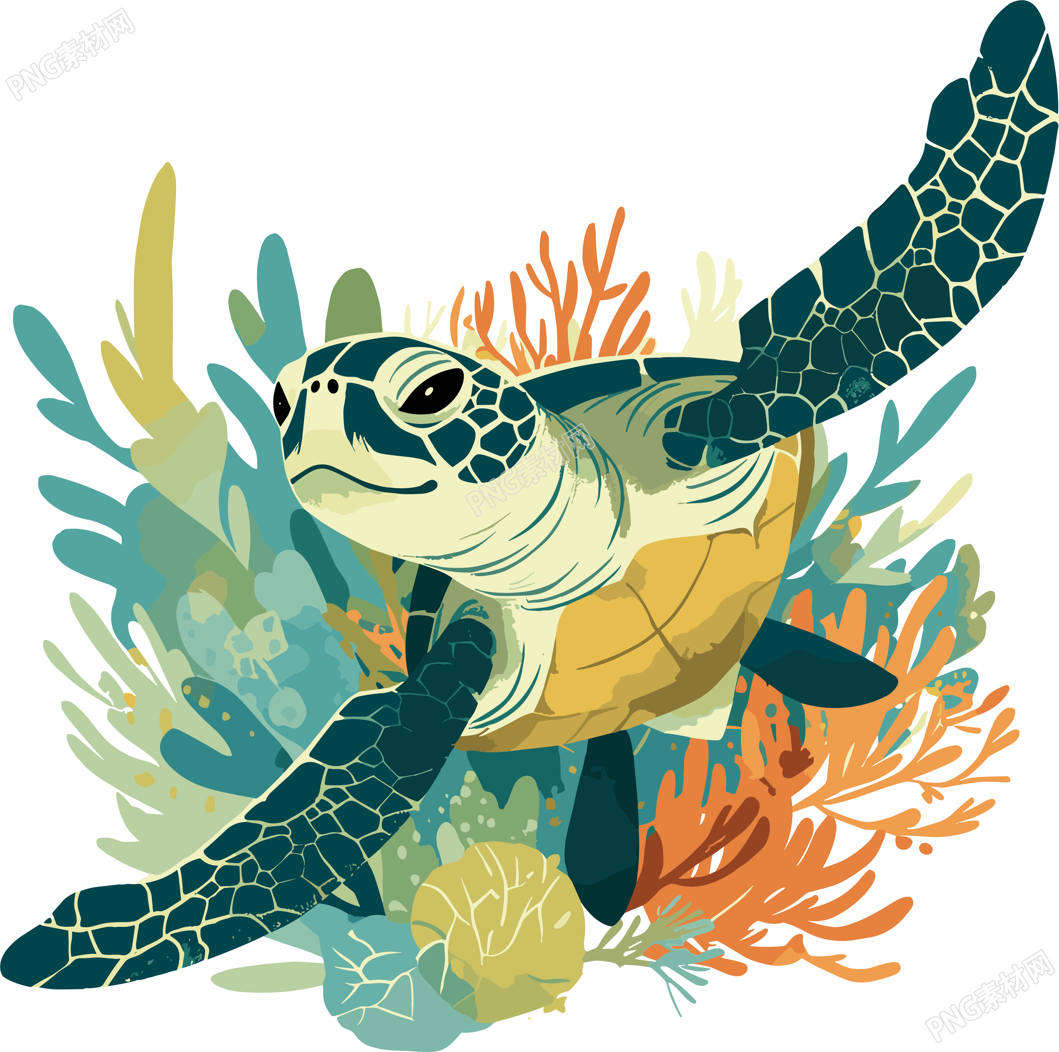 海洋海龟简单插画