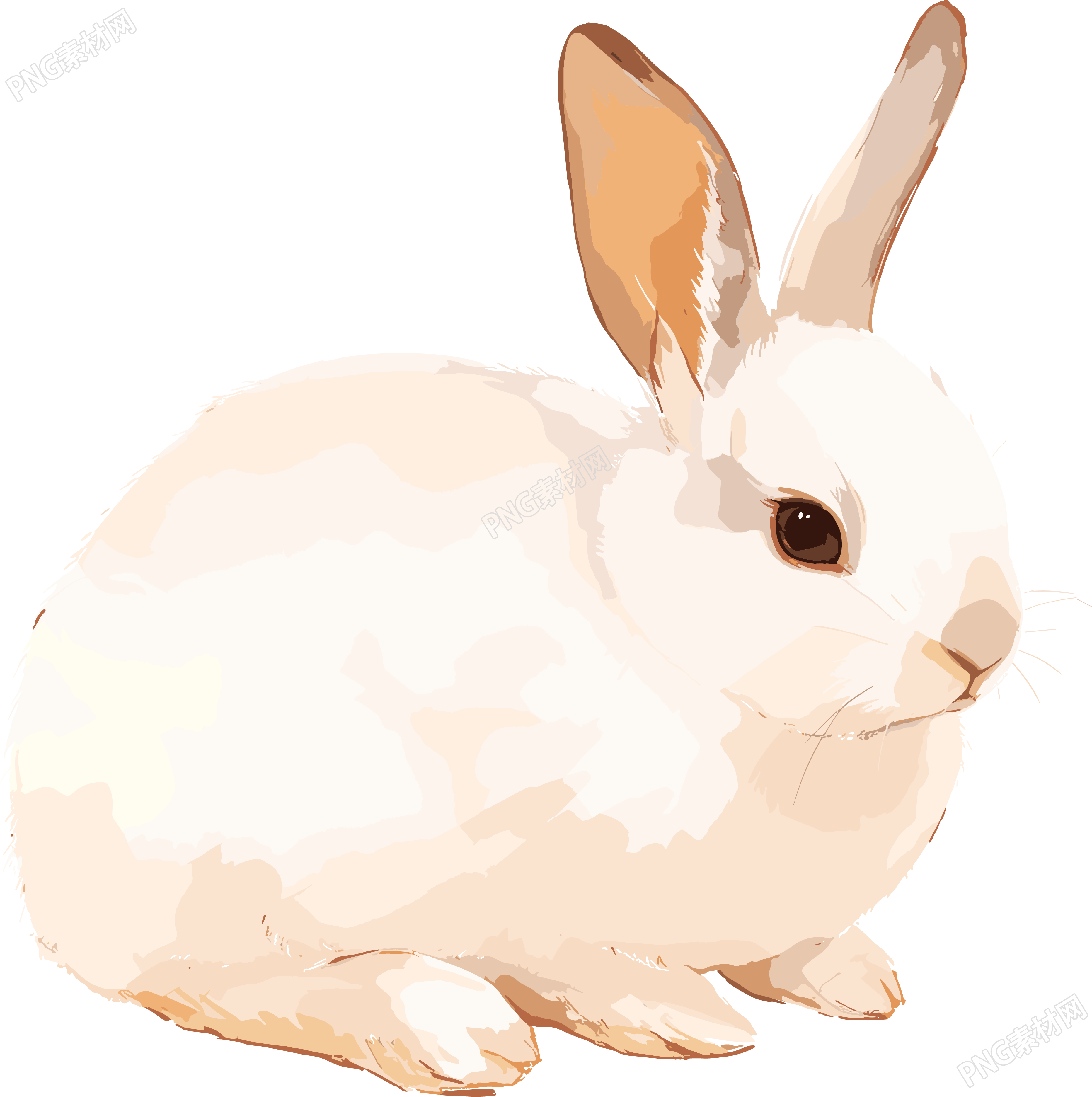 兔子简约插画
