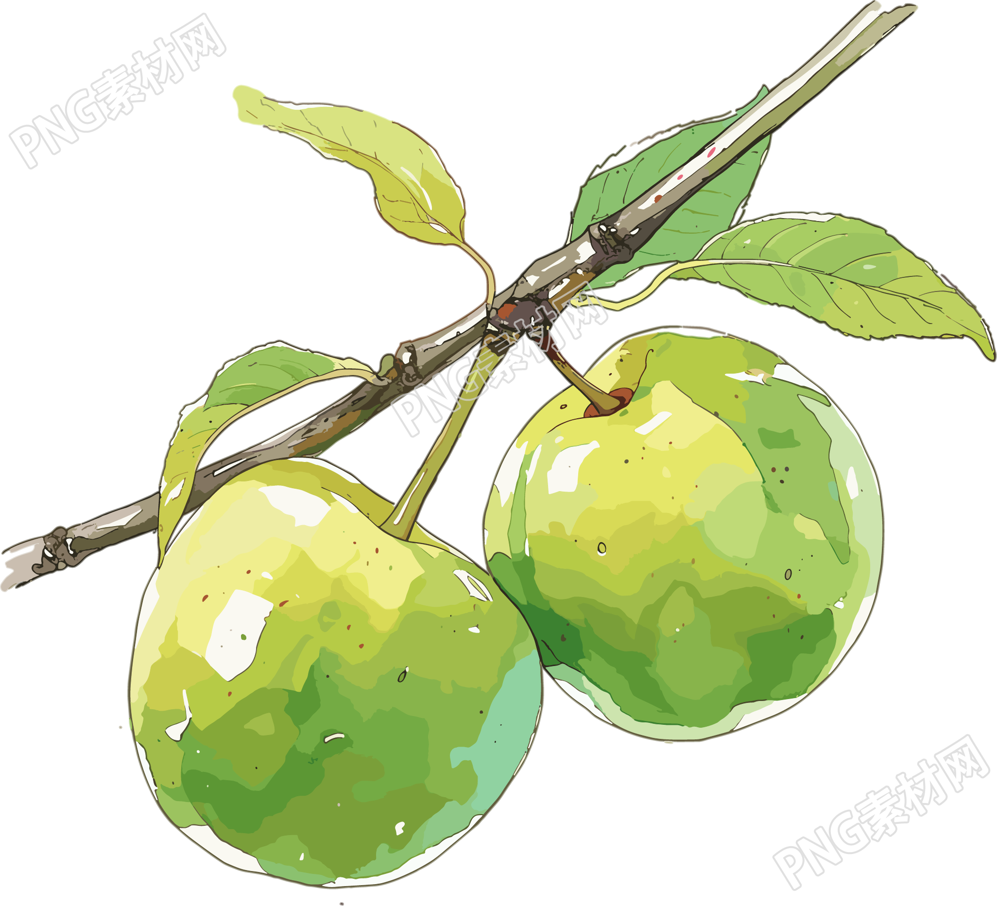 青梅PNG創(chuàng)意插圖