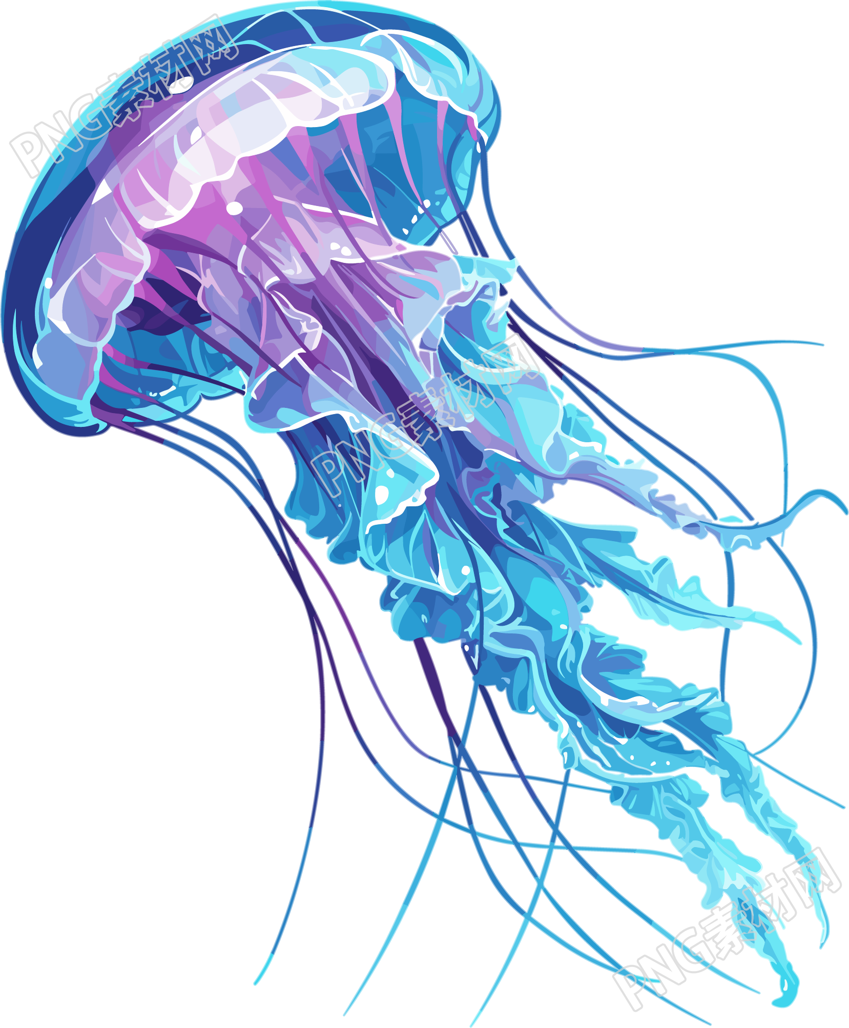 水母插画设计元素