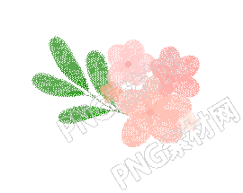 粉色小花gif动图插画