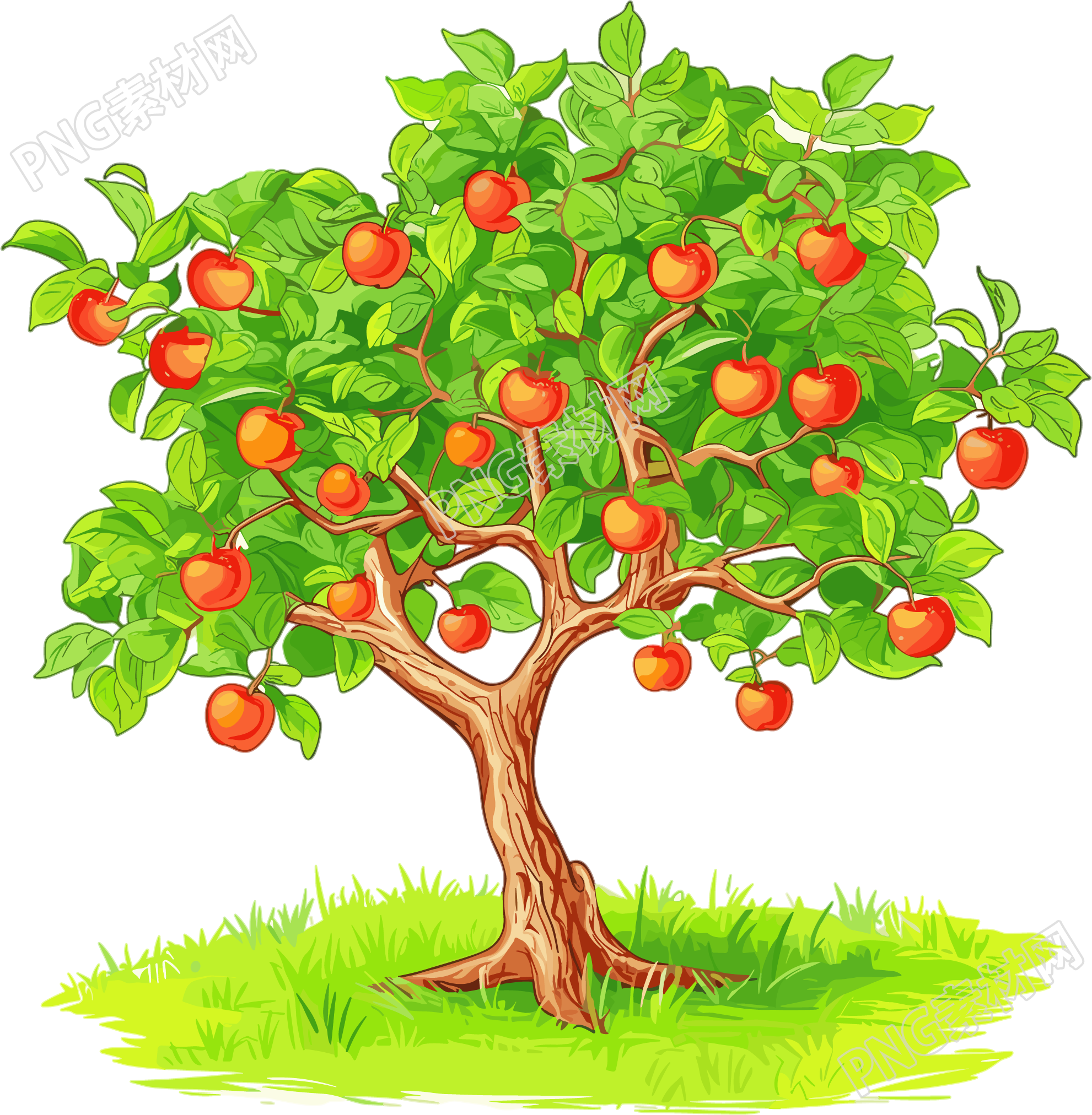 苹果树简单插图