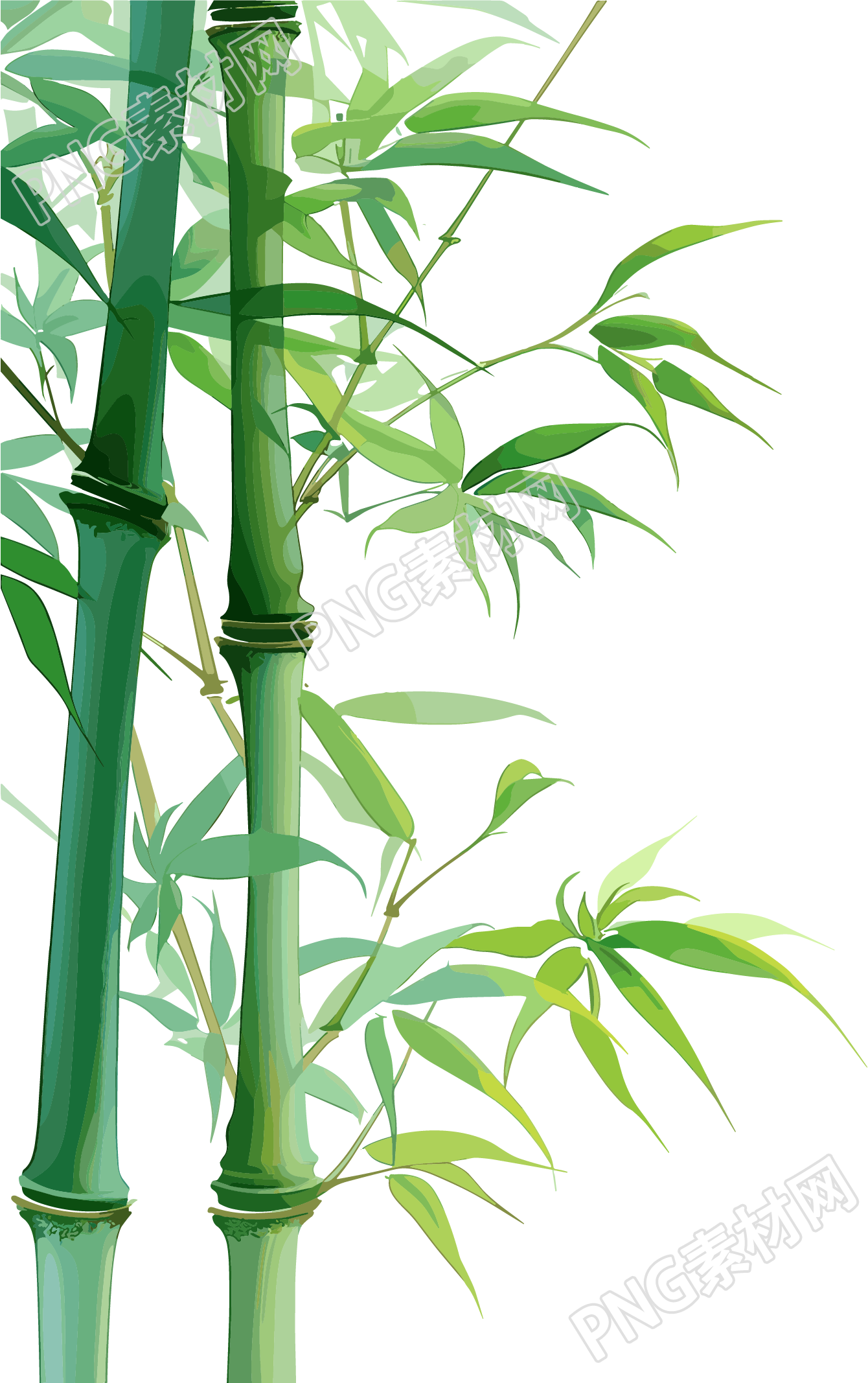 竹子简洁素材