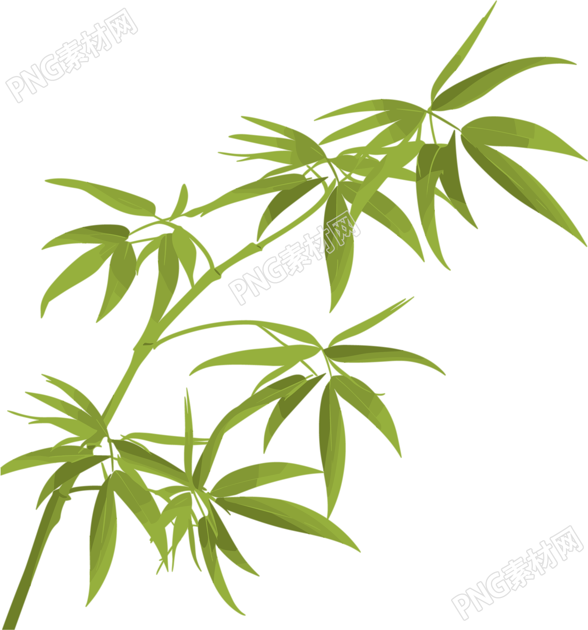 竹叶插图素材