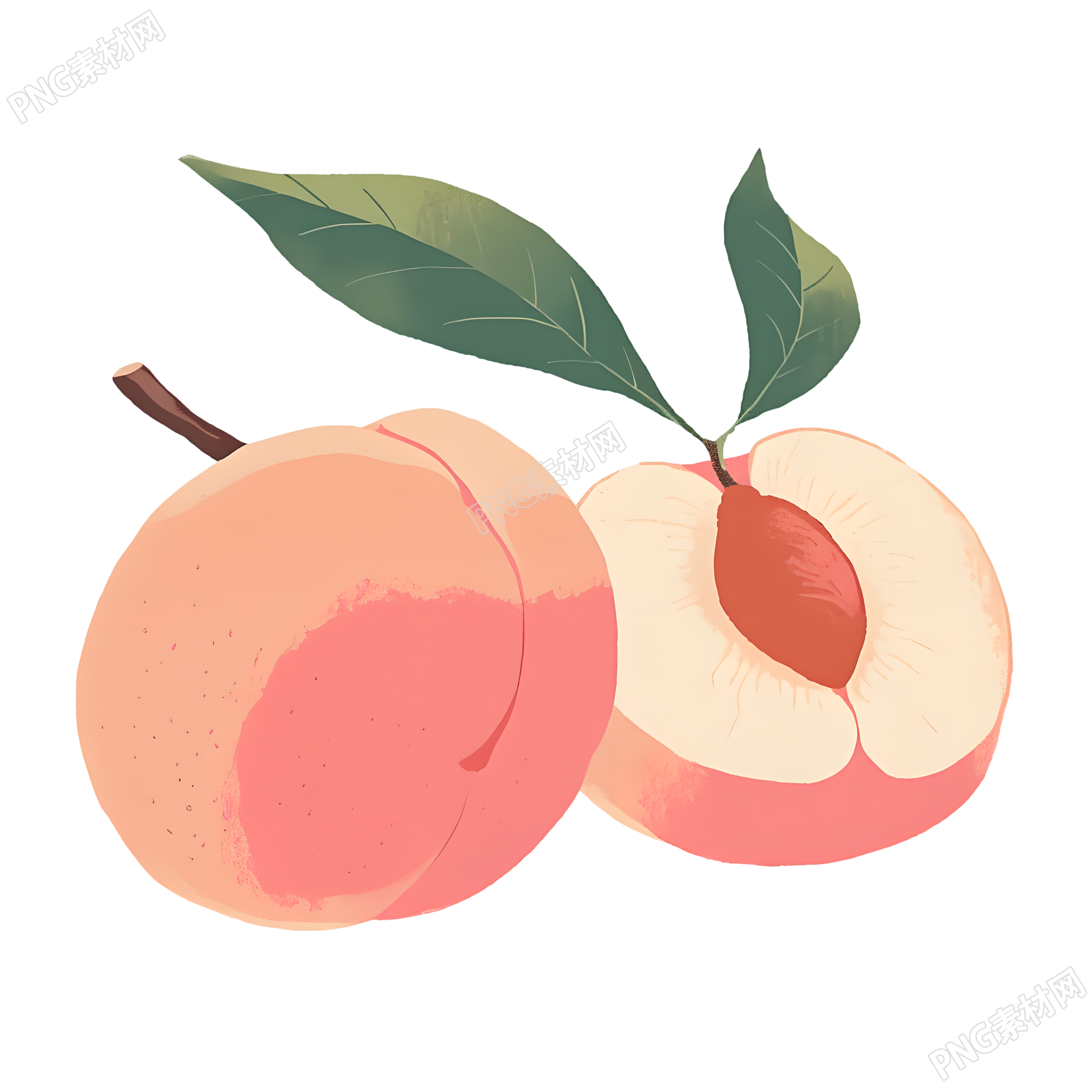 桃子矢量插图