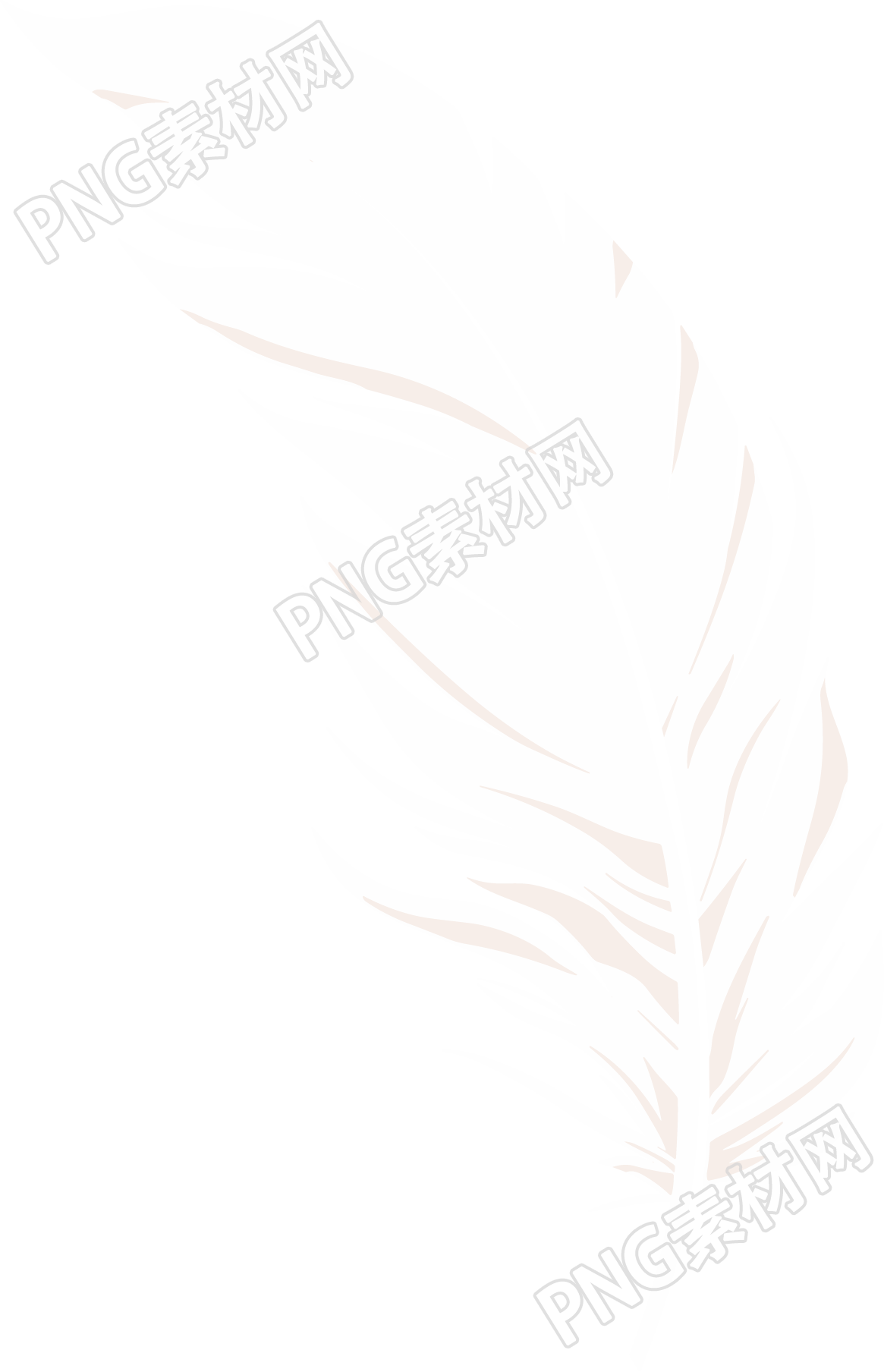 羽毛插图设计素材