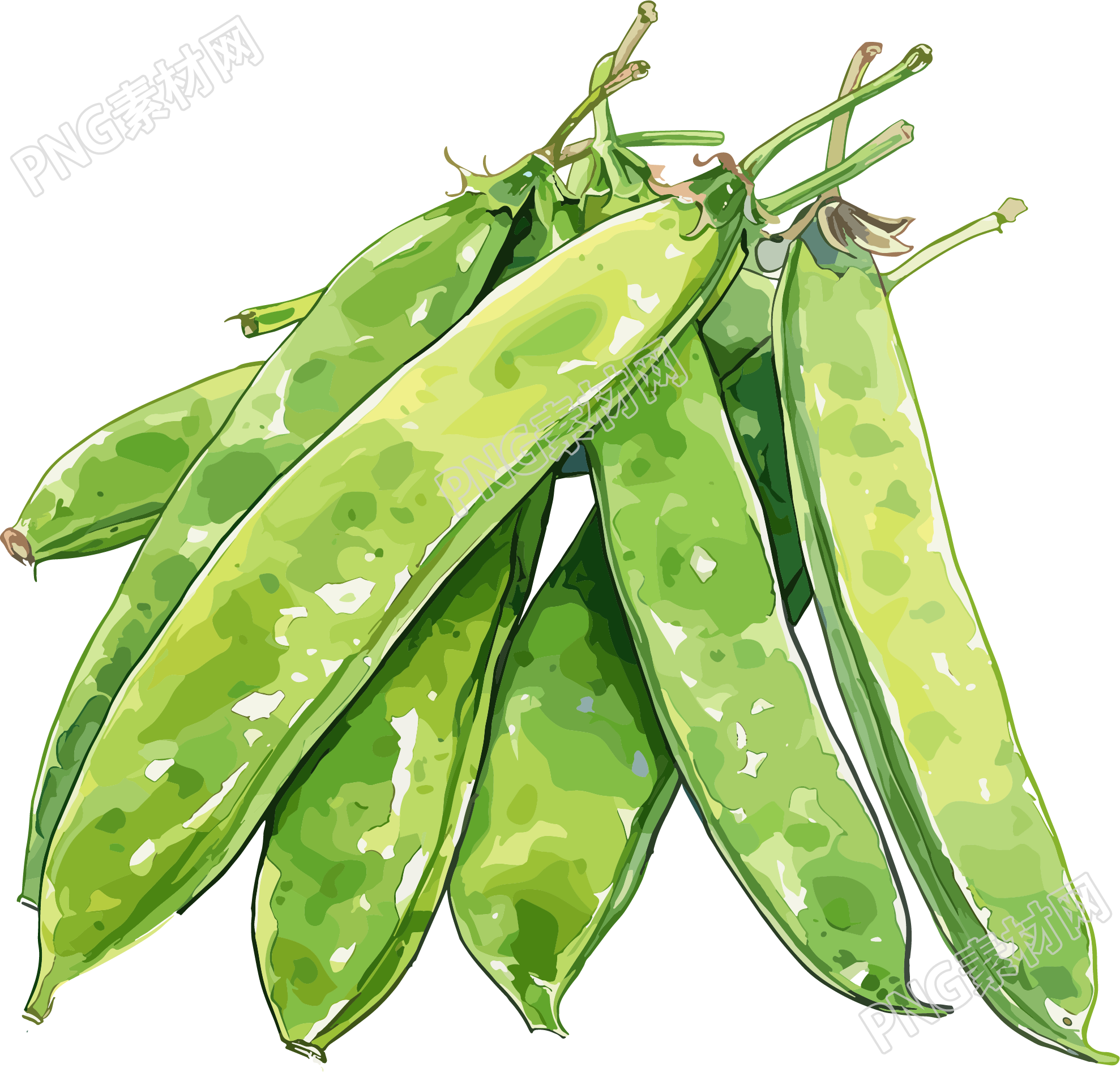 扁豆PNG元素插画