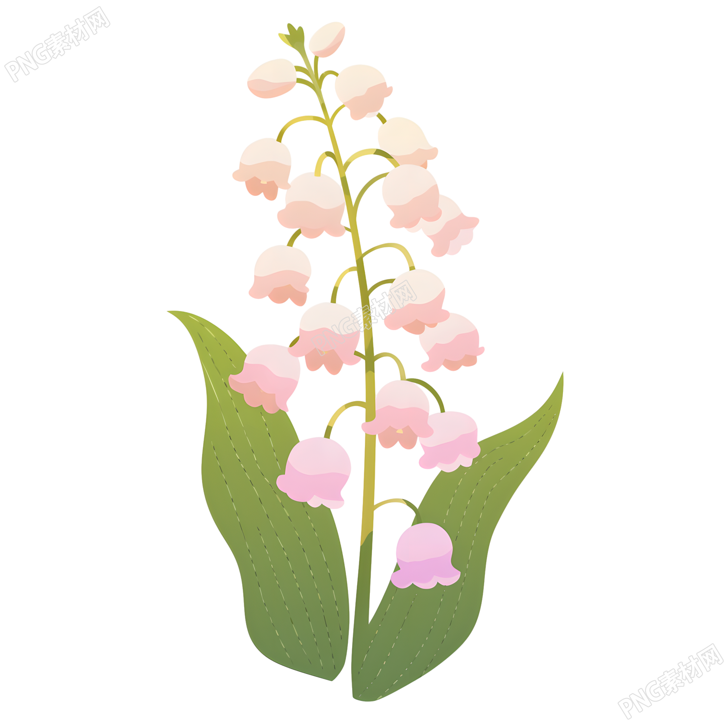 水彩植物铃兰花元素
