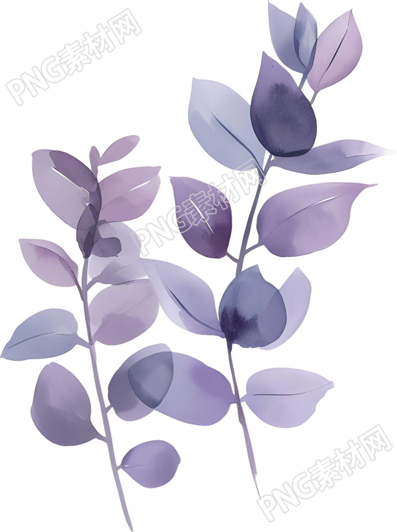 水彩植物唯美插画
