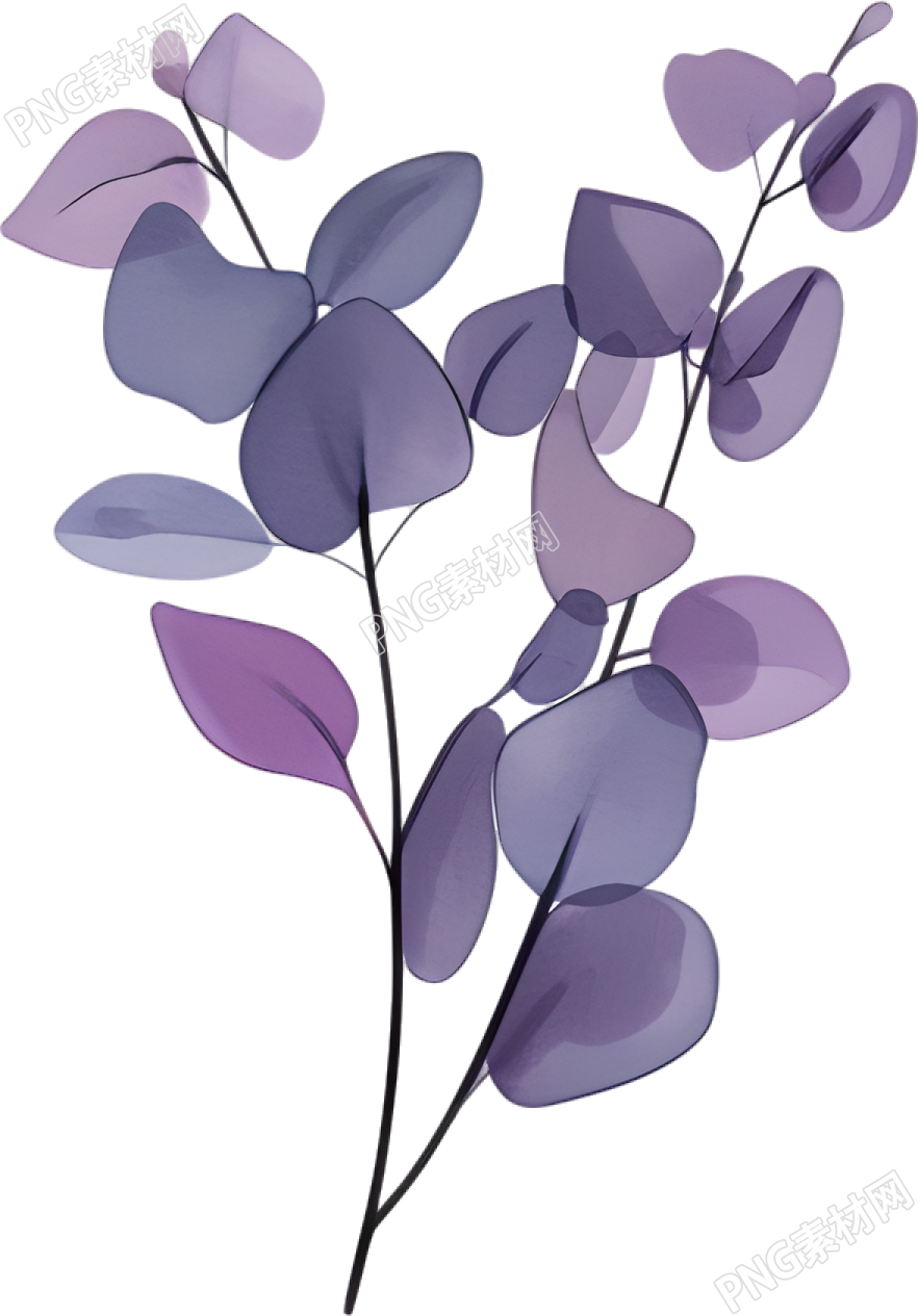 水彩植物简约插画