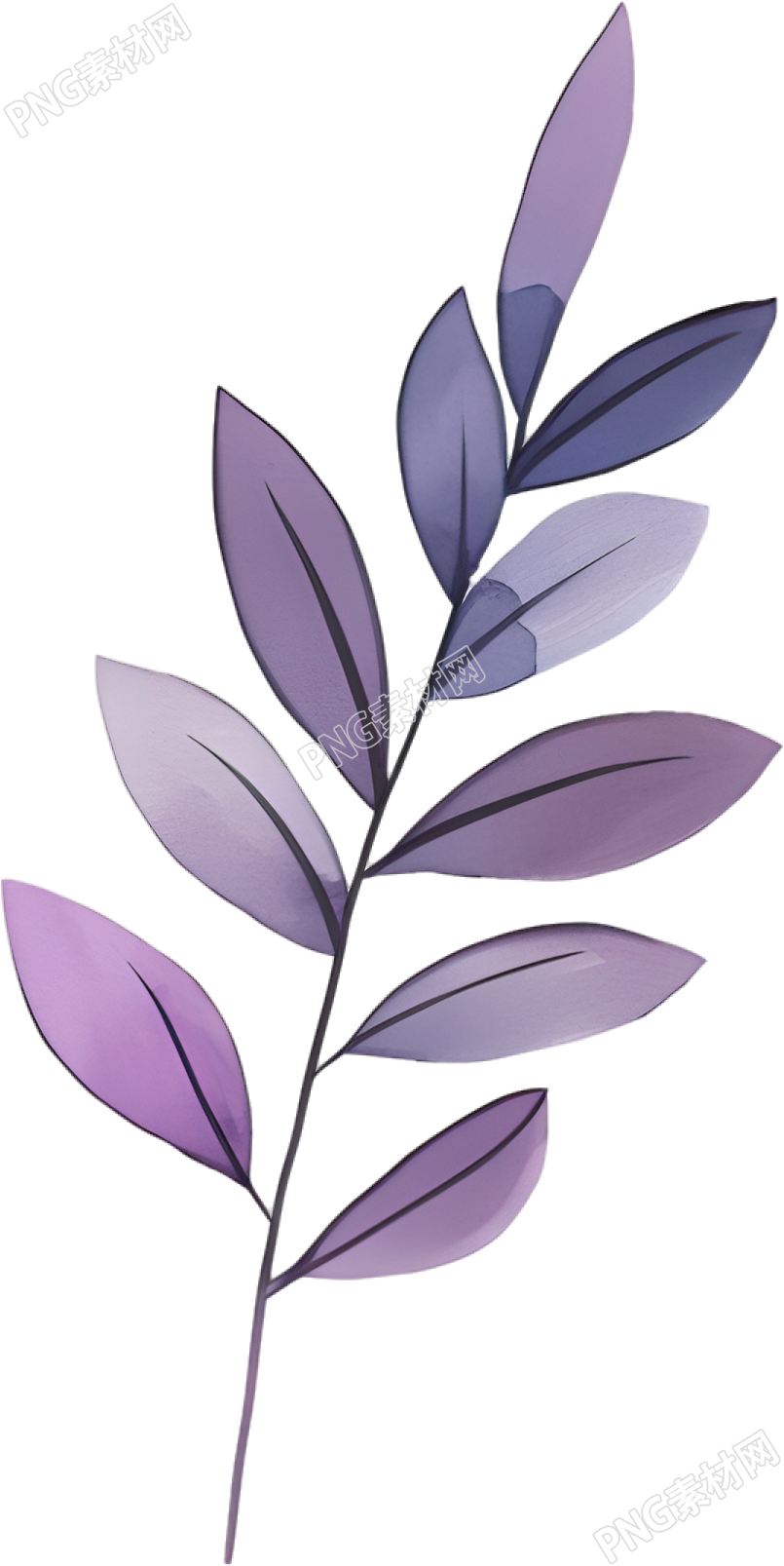 水彩植物PNG插图