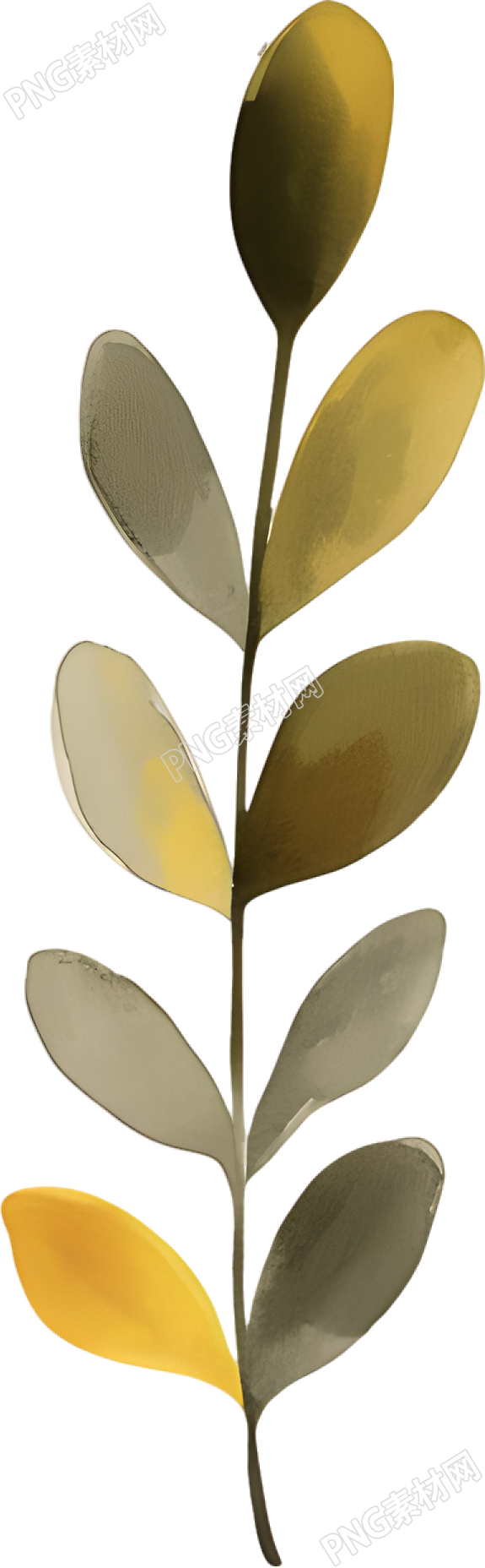 水彩植物装饰插图