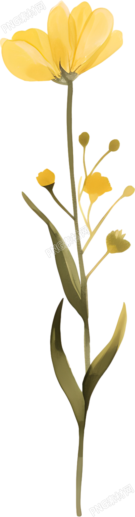 水彩小黄花装饰素材