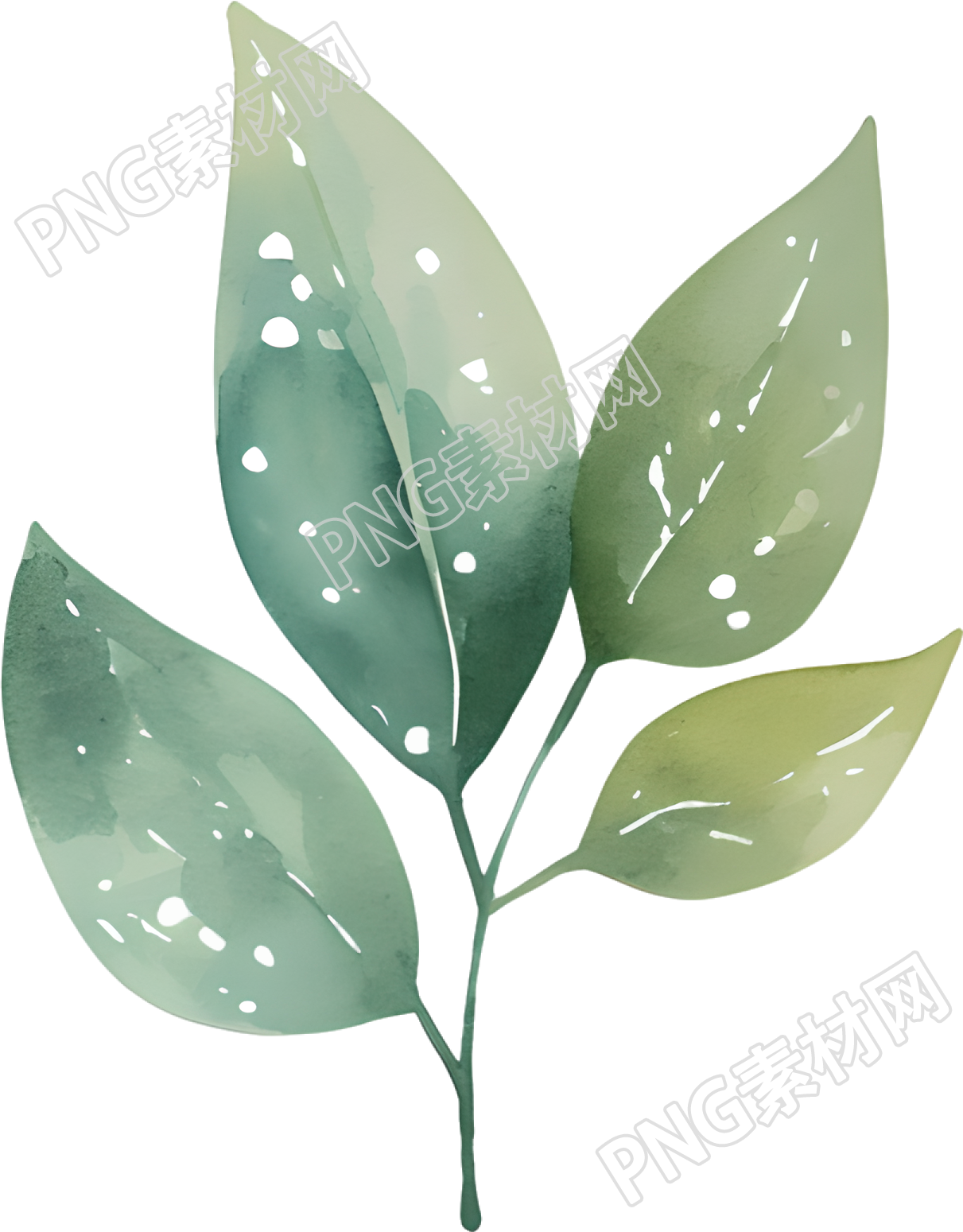 水彩叶子可商用插画