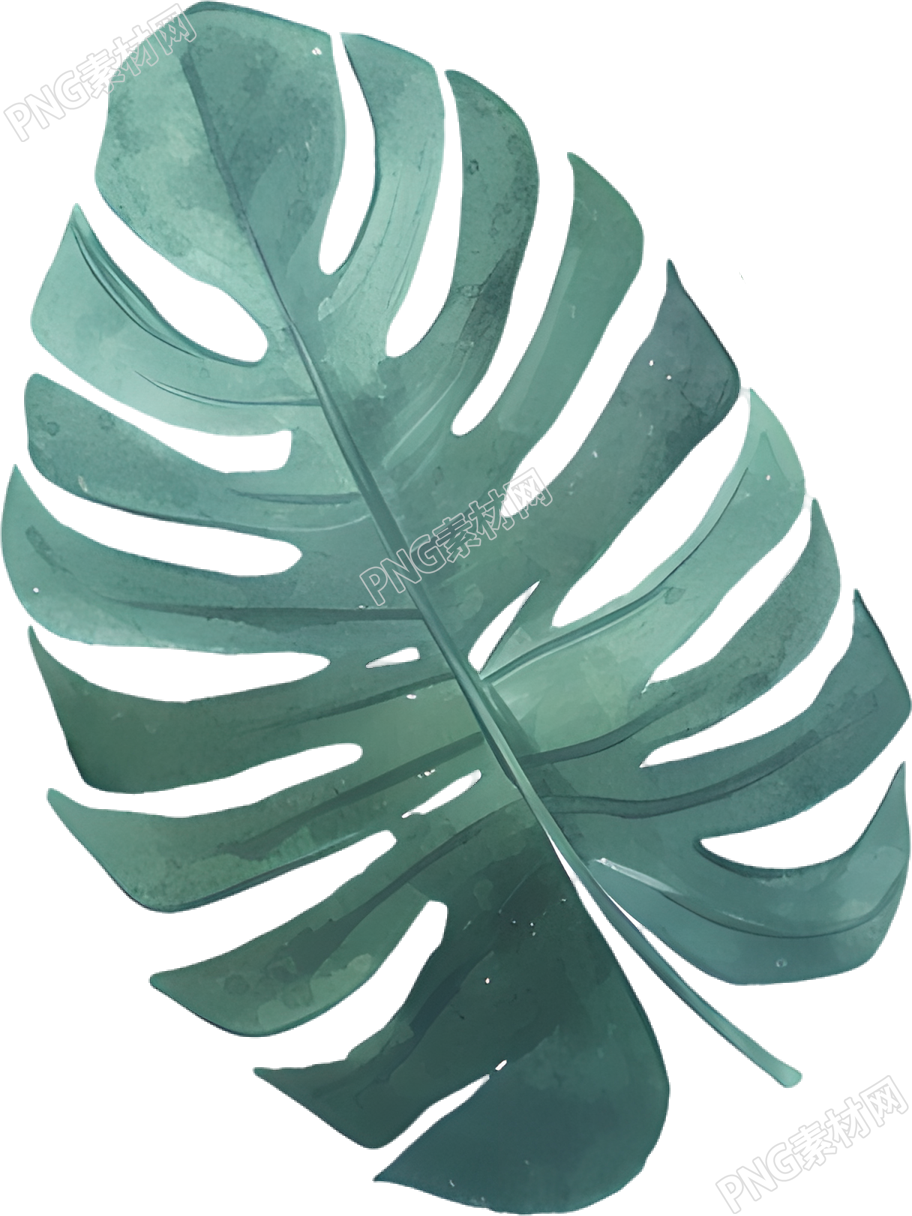 水彩叶子简约插画