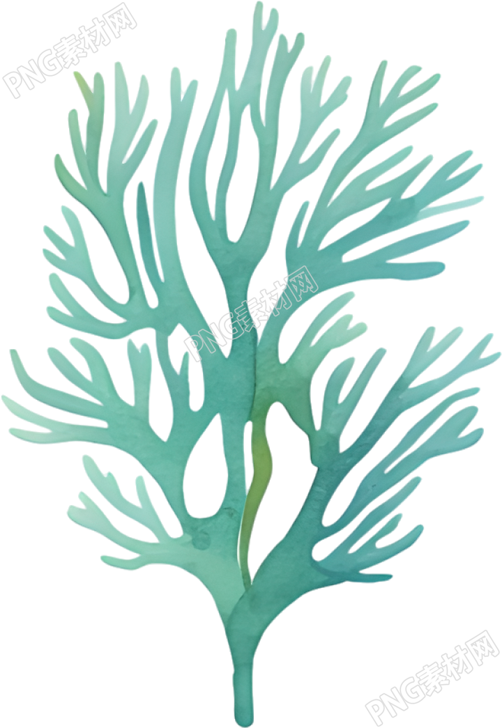 水彩珊瑚插画
