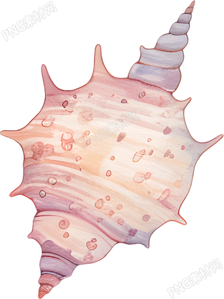 水彩海螺插图