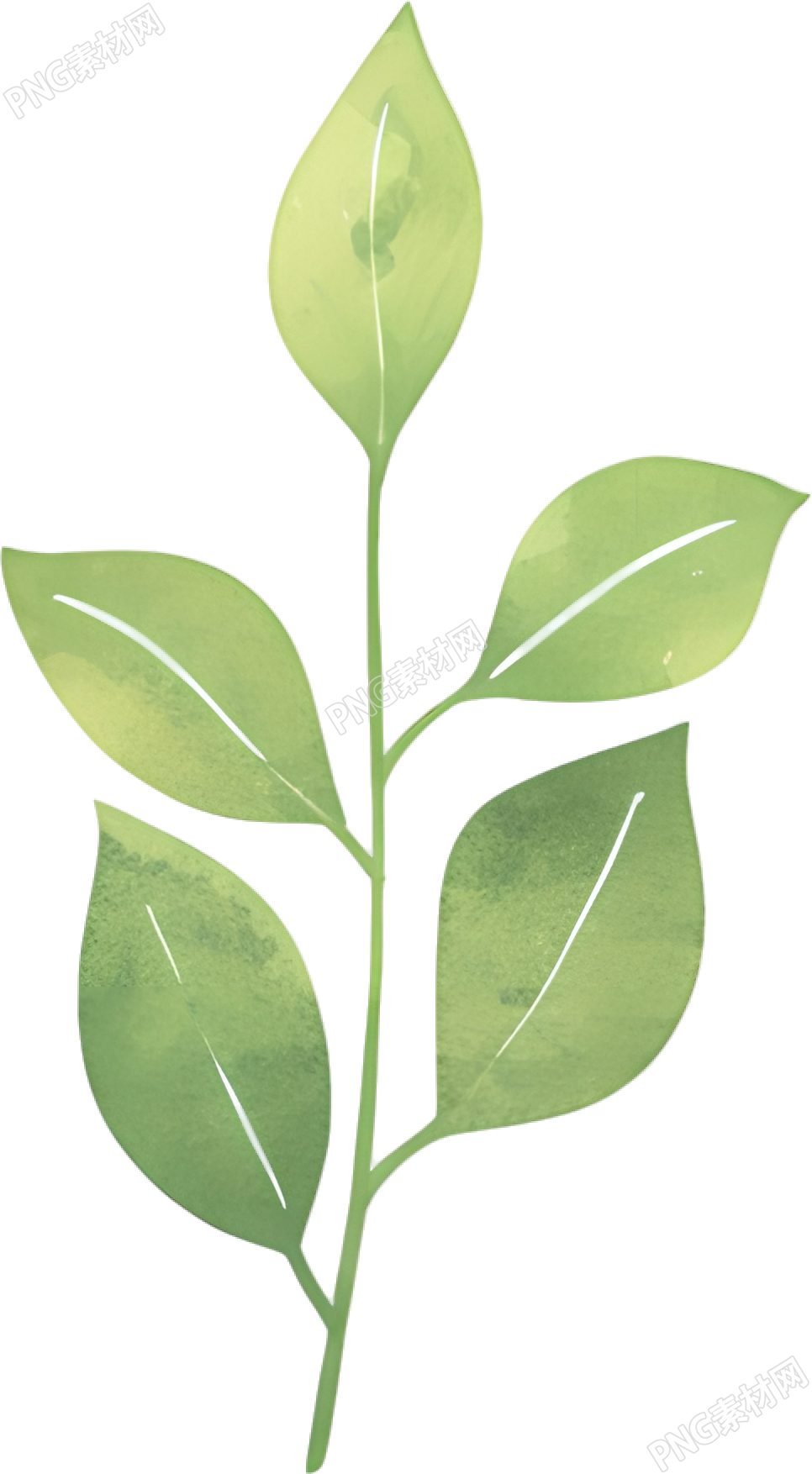 水彩植物叶片元素