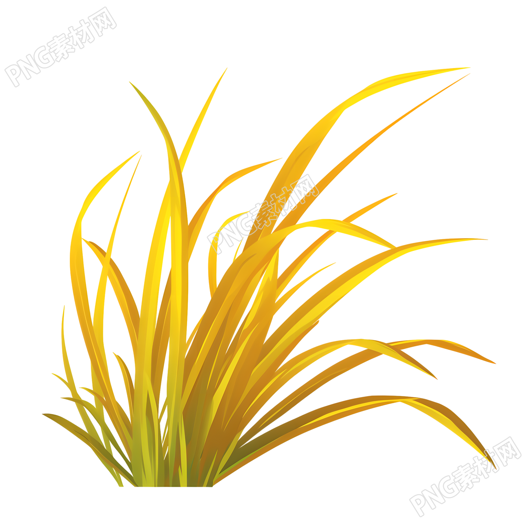 立秋芦苇插图