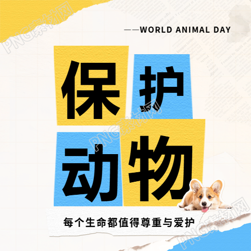 世界动物日保护动物微信公众号次图